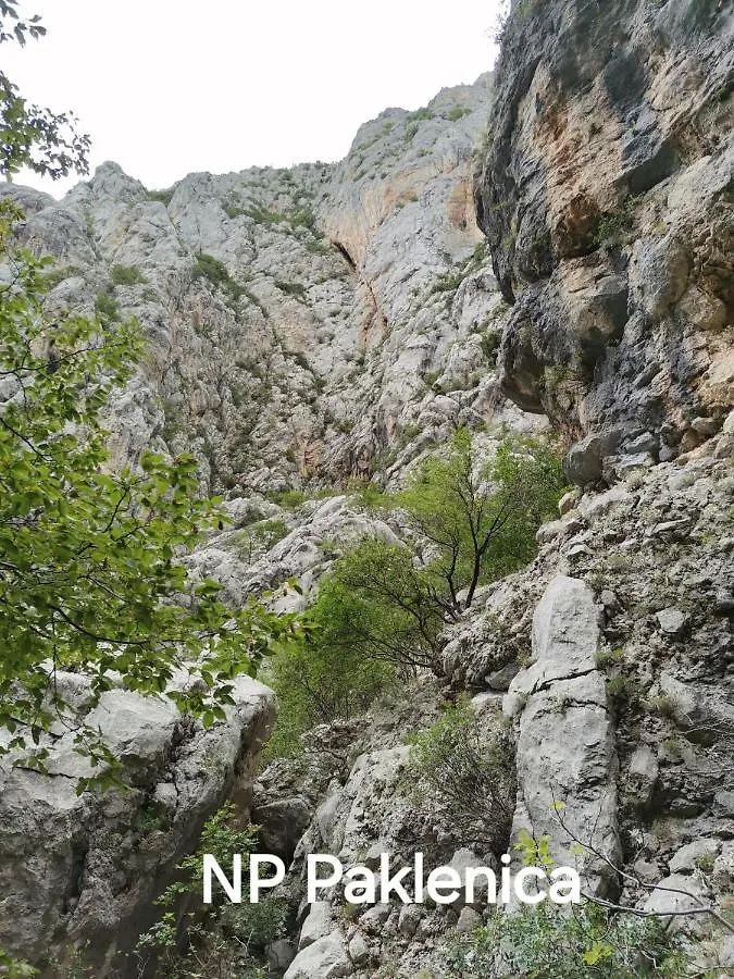 Apartment Robi Maslenica Croatia