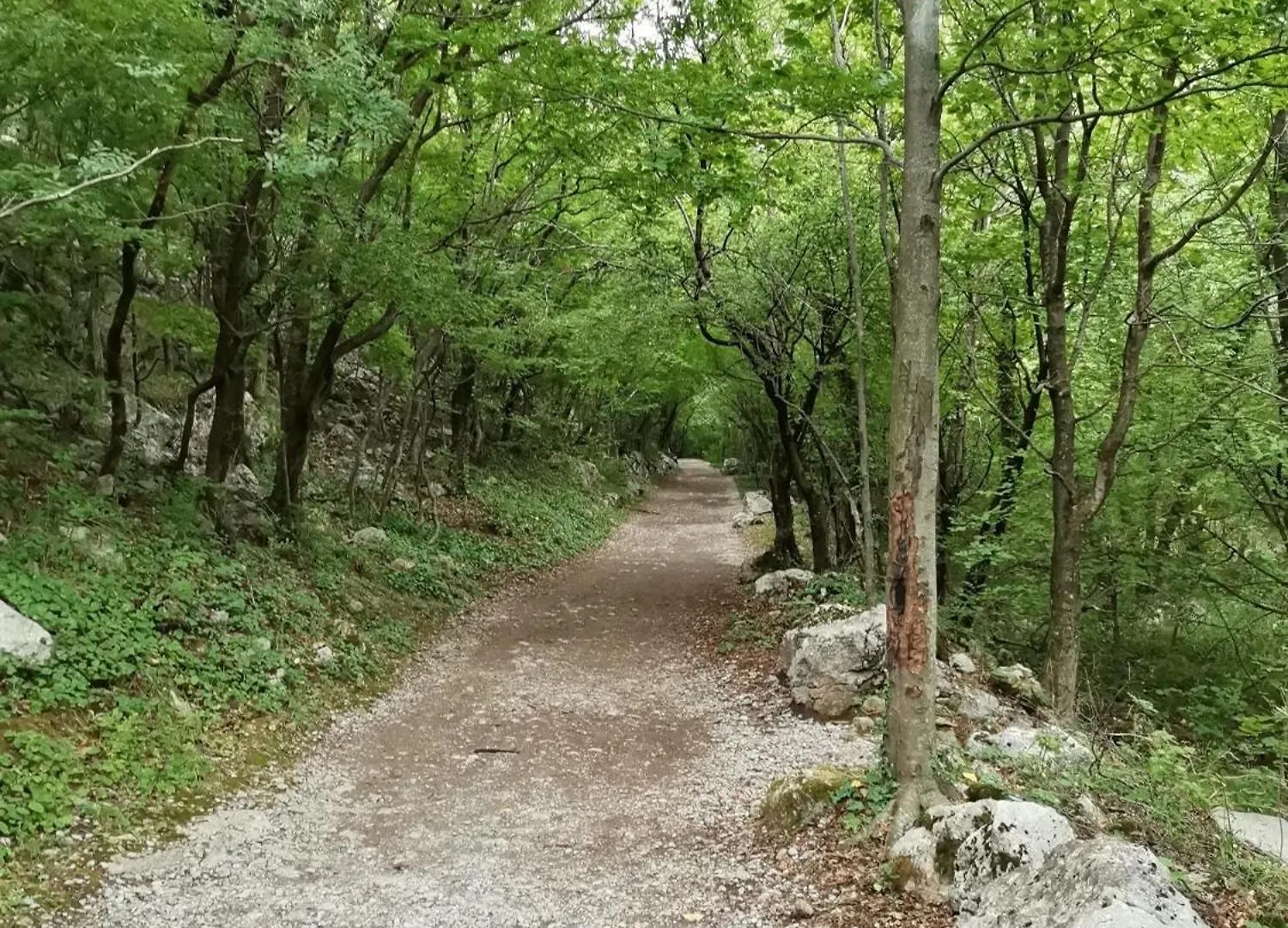 Apartment Robi Maslenica
